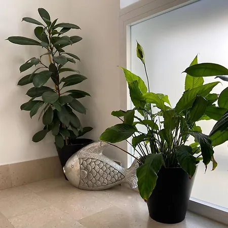 Bed & Breakfast Frontemare Marina Ch 3*