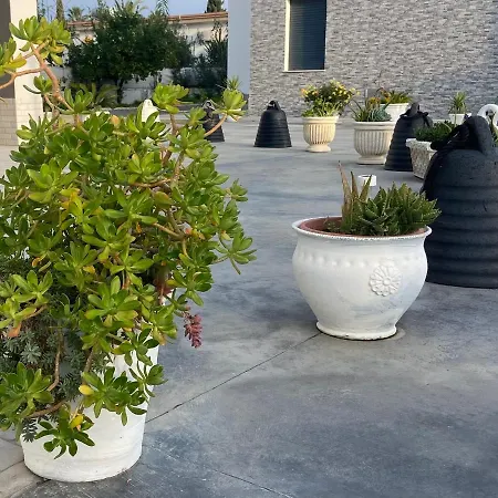 Frontemare Marina Ch Panzió