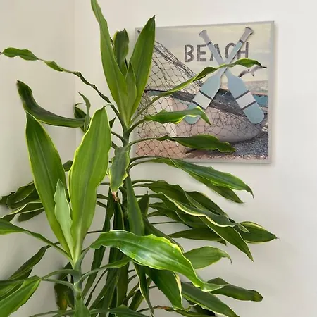 Frühstückspension Frontemare Marina Ch San Salvo